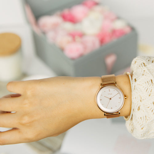 Nordic Tale三針石英不鏽鋼腕錶 W06-03161-001